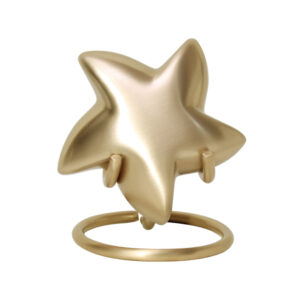 Mini Urn Ster Goudkleurig Messing
