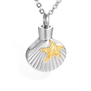 Ashanger Schelp Met Gouden Ster.png